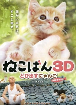 小猫跳出来3D