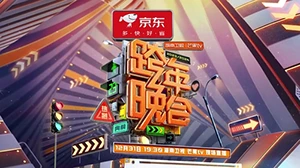 20232024湖南卫视芒果TV跨年晚会