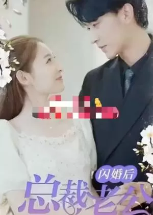 闪婚后总裁老公又欲又野